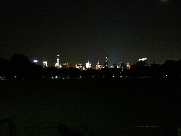 Central Park View Night